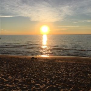 Meet your Posher, Autumn